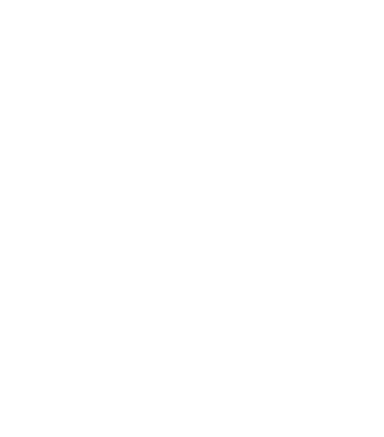 Tik Tok Icon